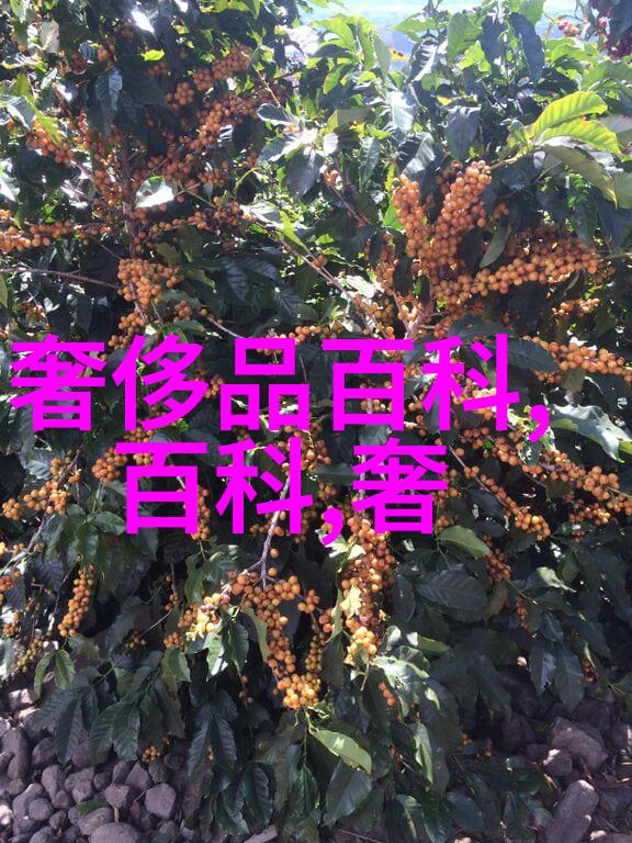 高档面霜送给妈妈们 秋天保养水嫩嫩