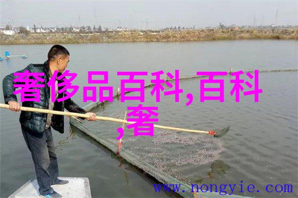 赛琳2013岁末年初经典包包系列