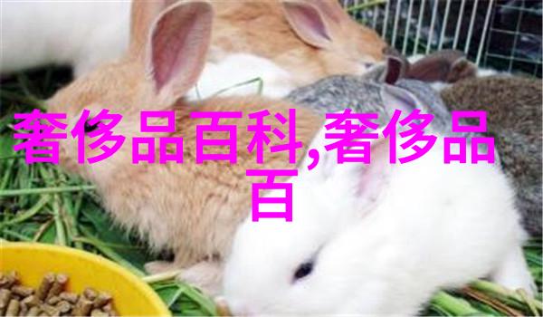 风衣提高你台风天的时尚度
